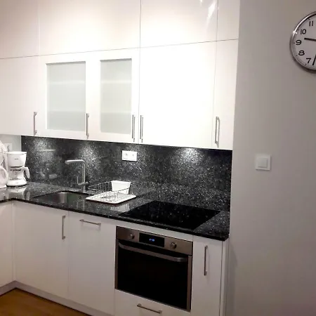 公寓 Modern & Quiet In Royal Wilanow With Netflix 华沙